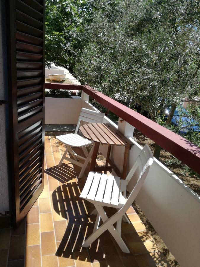 Aenona Sunny Apartment Vrsi Exteriör bild